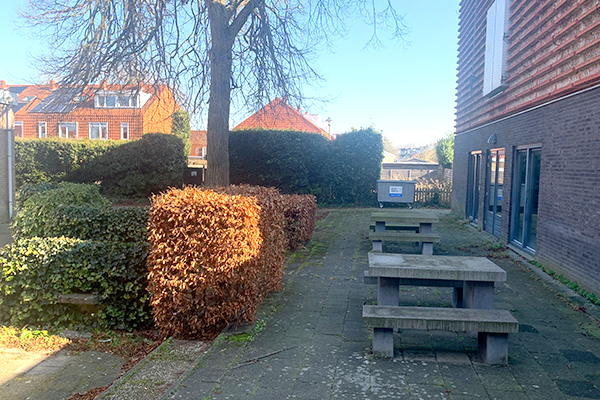 Monkey Moves BSO Zeist
